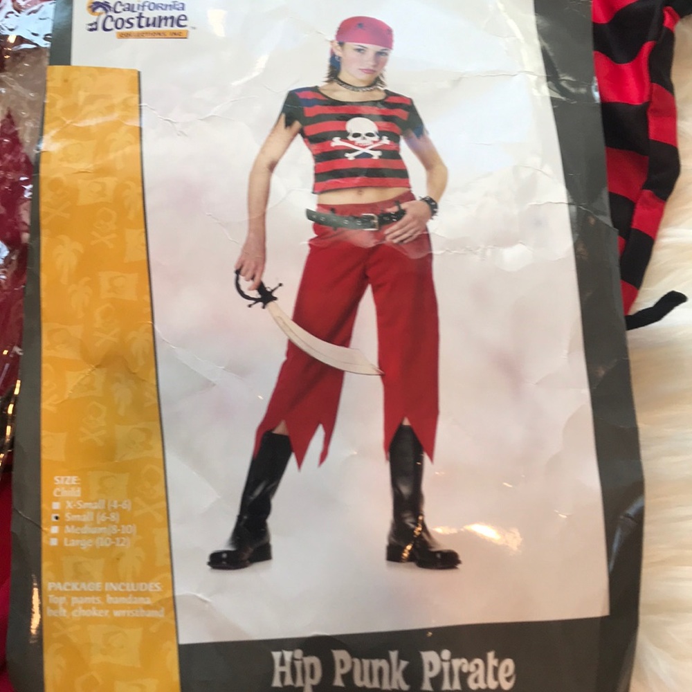 Hip Punk Pirate Small (6-8) Child Costume